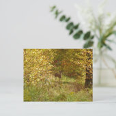 Pennsylvania Herten in Herfst Natuur Briefkaart (Staand voorkant)