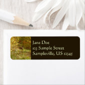 Pennsylvania Herten in Herfst Natuur Etiket (Insitu)