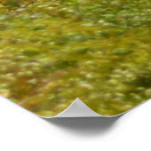 Pennsylvania Herten in Herfst Natuur Poster (Hoek)