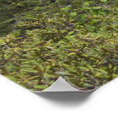 Pennsylvania Landschap Poster (Hoek)