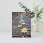 Pennsylvania loopt door het Briefkaart Park (Staand voorkant)