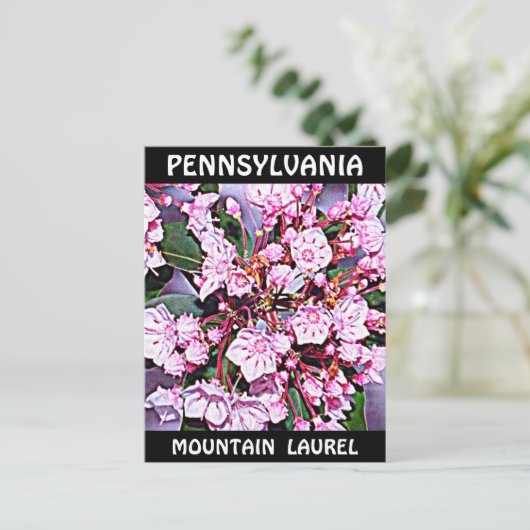 Pennsylvania Mountain Laurel Briefkaart (Staand voorkant)