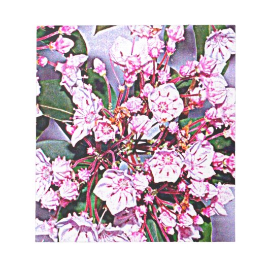 Pennsylvania Mountain Laurel Notitieblok (Voorkant)