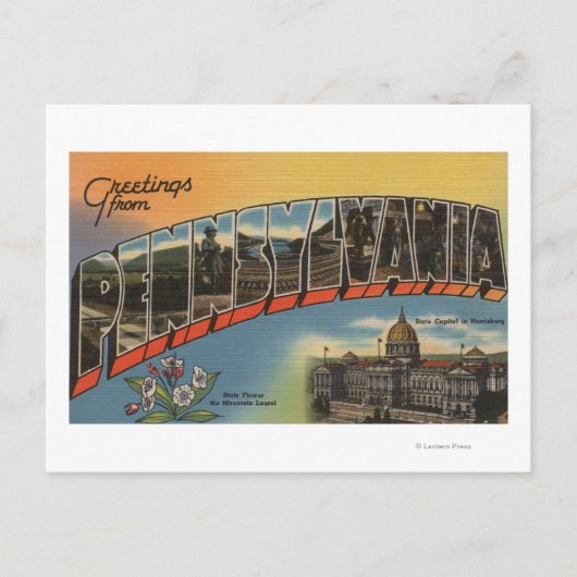 Pennsylvania (Overheidskapitaal/Bloem) Briefkaart (Voorkant)