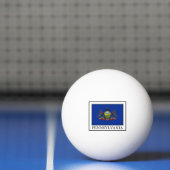 Pennsylvania Pingpongbal (Net)