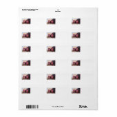 Pennsylvania Railroad E-8a,s (JTFS) 5809 en 5711 Etiket (Full Sheet)