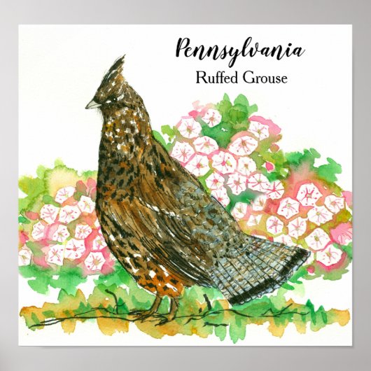 Pennsylvania Ruffed Grouse Mountain Laurel Poster (Voorkant)