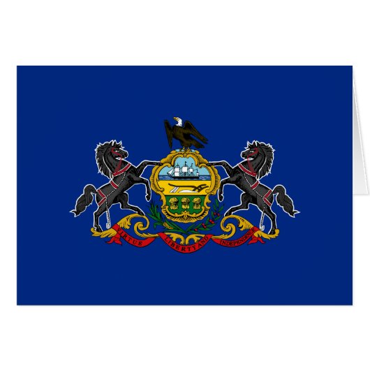 Pennsylvania Staatsvlag (Voorkant Horizontaal)