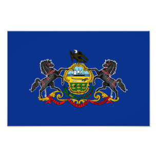 Pennsylvania Staatsvlag Foto Afdruk