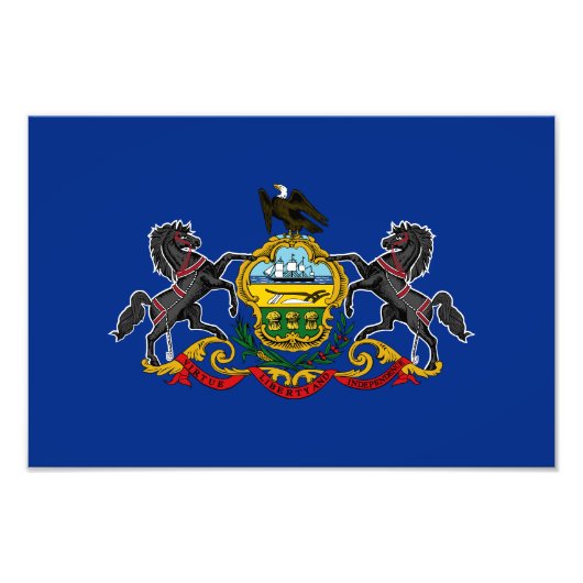 Pennsylvania Staatsvlag Foto Afdruk (Voorkant)