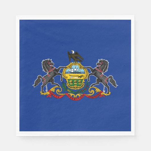 Pennsylvania Staatsvlag Servet (Voorkant)