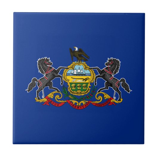 Pennsylvania Staatsvlag Tegeltje (Voorkant)