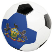 Pennsylvania Staatsvlag Voetbal (Drie kwart)
