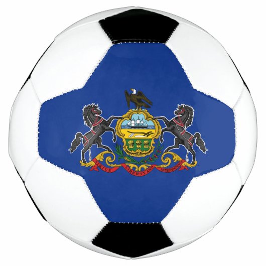 Pennsylvania Staatsvlag Voetbal (Voorkant)