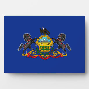 Pennsylvania Staatsvlagontwerp Fotoplaat