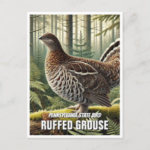 Pennsylvania State Bird Ruffed Grouse Briefkaart