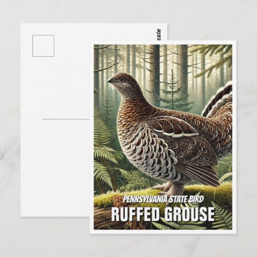 Pennsylvania State Bird Ruffed Grouse Briefkaart (Voorkant / Achterkant)