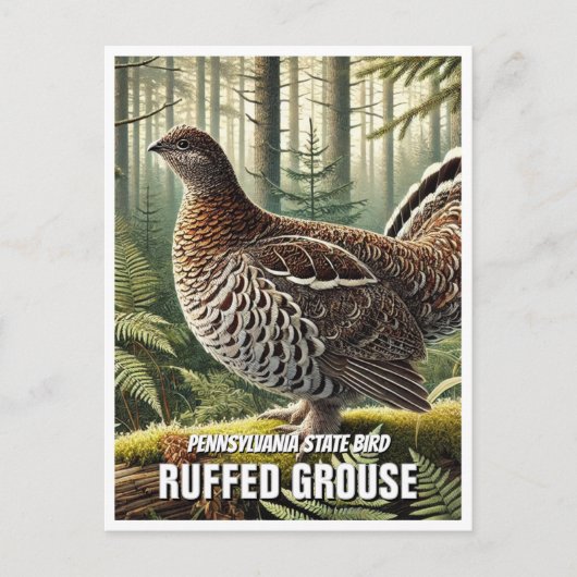 Pennsylvania State Bird Ruffed Grouse Briefkaart (Voorkant)