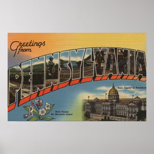 Pennsylvania (State Capital/Flower) 2 Poster (Voorkant)