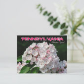 Pennsylvania State Flower: Mountain Laurel Briefkaart (Staand voorkant)
