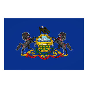 Pennsylvania State Vlag Verenigde Staten Foto Afdruk