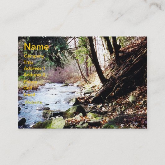 Pennsylvania Stream 02 Visitekaartje (Voorkant)