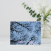 Pennsylvania Touch the Skies Briefkaart (Staand voorkant)