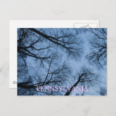 Pennsylvania Touch the Skies Briefkaart (Voorkant / Achterkant)