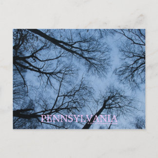 Pennsylvania Touch the Skies Briefkaart