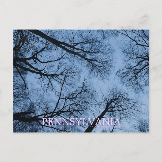 Pennsylvania Touch the Skies Briefkaart (Voorkant)