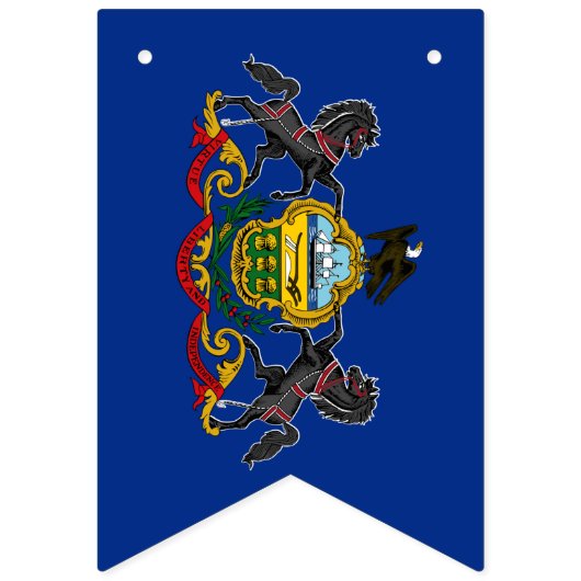 Pennsylvania Vlaggenpartij, banners/bruiloft Vlaggetjes (Tweede vlag)