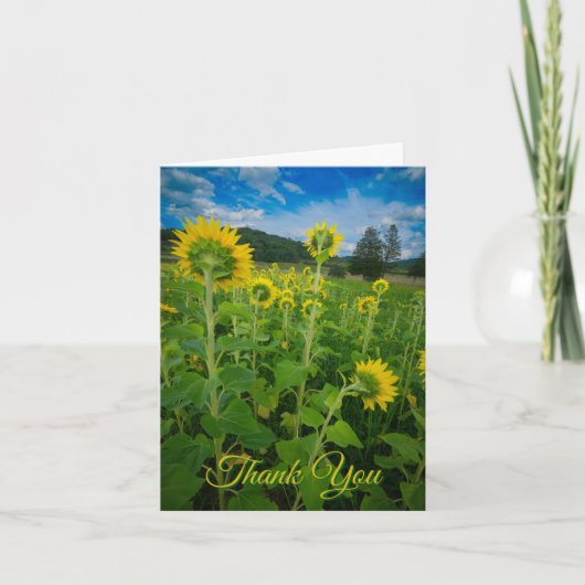 "Pennsylvania Zonnebloemveld" Kaart (Voorkant)