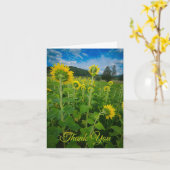 "Pennsylvania Zonnebloemveld" Kaart (Gele Bloem)