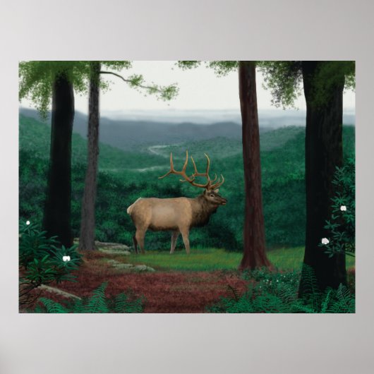 Pennsylvanian Elk Poster (Voorkant)