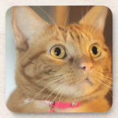  Penny Bier Onderzetter (Voorkant)