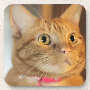 Penny Bier Onderzetter