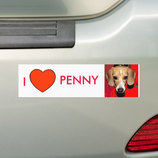 PENNY BUMPERSTICKER (Op auto)