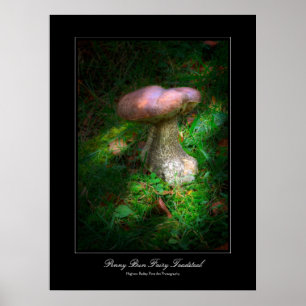 Penny Bun Fairy Toadstool galerie-poster Poster