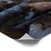 Penny Bun Poster (Hoek)