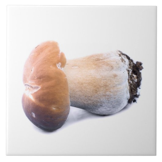 Penny bun tegeltje (Voorkant)
