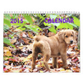 Penny Calendar 2015 Kalender (Hoes)