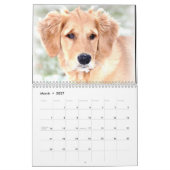Penny Calendar 2015 Kalender (Mar 2027)
