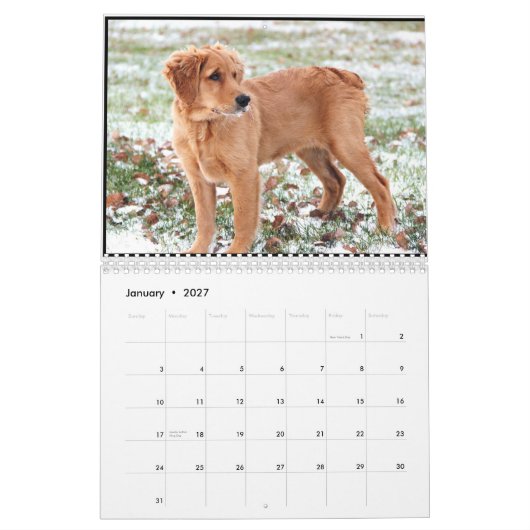 Penny Calendar 2015 Kalender (Jan 2027)