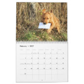 Penny Calendar 2015 Kalender (Feb 2027)