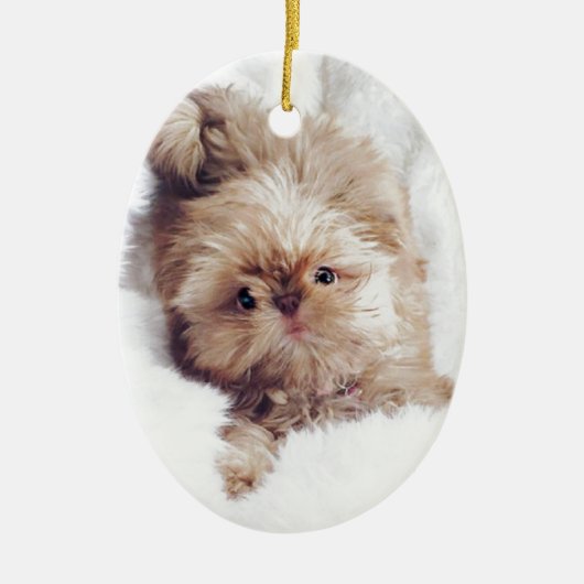 Penny de oranje lever Shih Tzu op Cloud 9 Keramisch Ornament (Voorkant)