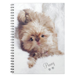 Penny de oranje lever Shih Tzu op Cloud 9 tablet Notitieboek