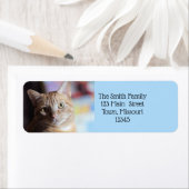 Penny Etiket (Insitu)