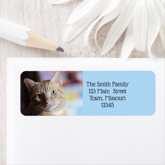 Penny Etiket (Insitu)