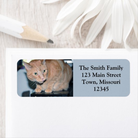 Penny Etiket (Insitu)