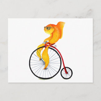 Penny Farthing Fish Briefkaart